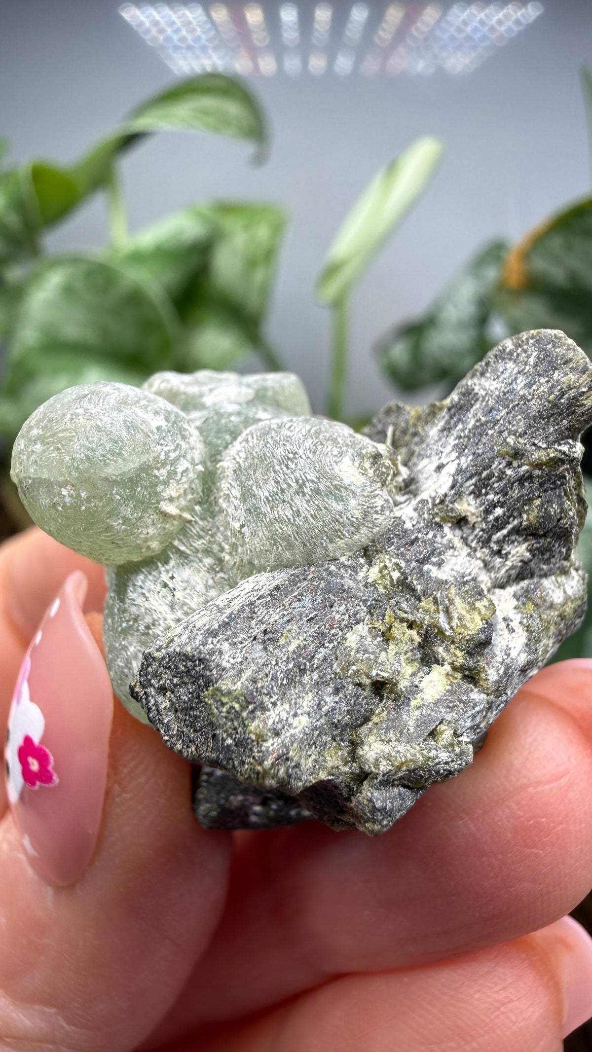 Botryoidal Prehnite with Epidote- Bosso Mine, Bendoukou, Kayes Region, Mali