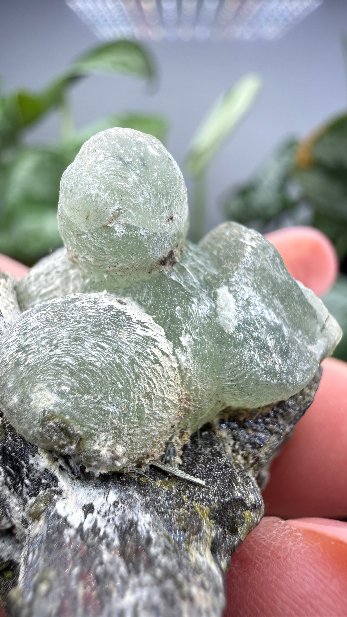 Botryoidal Prehnite with Epidote- Bosso Mine, Bendoukou, Kayes Region, Mali