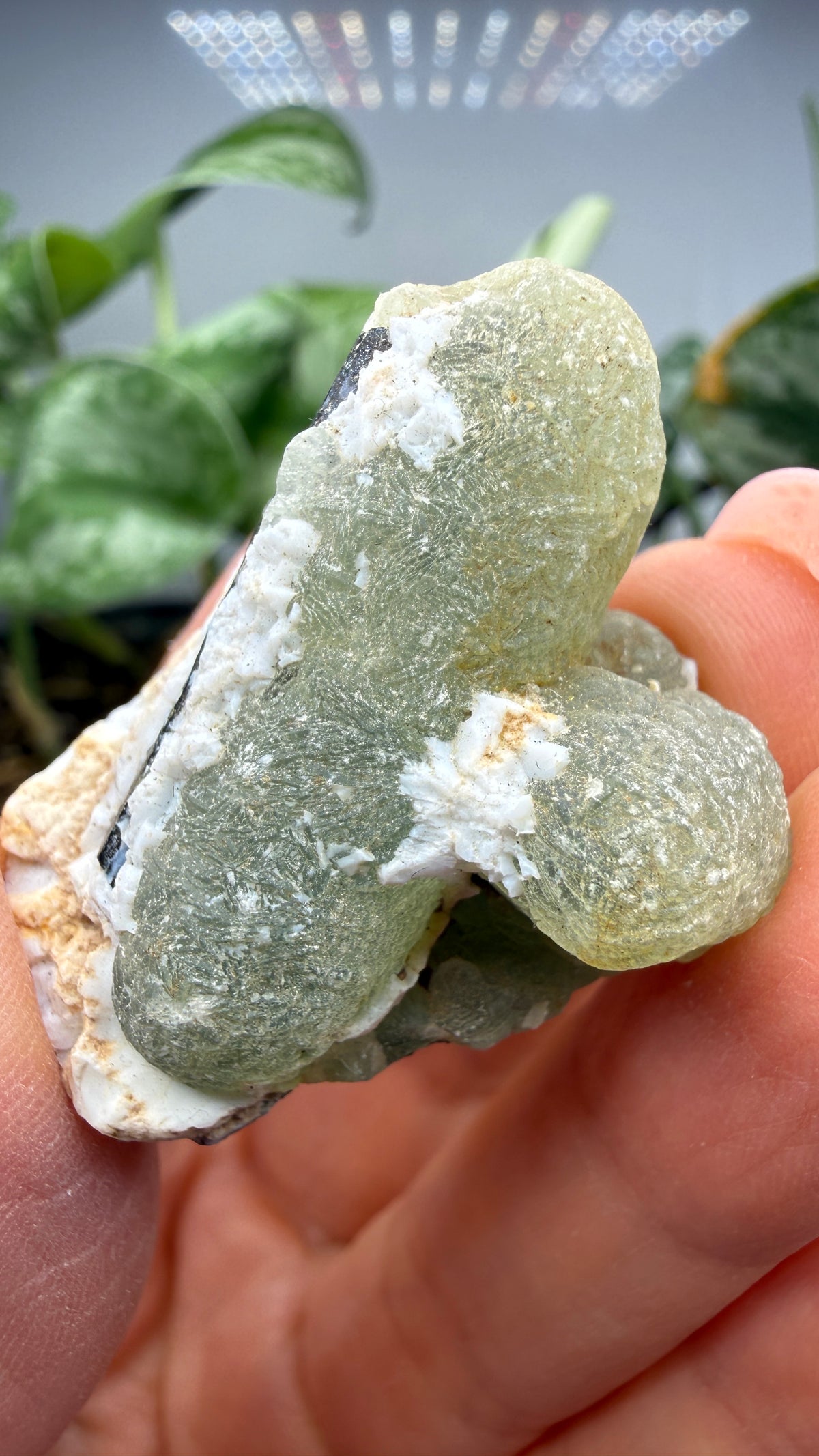 Botryoidal Prehnite with Epidote- Bosso Mine, Bendoukou, Kayes Region, Mali