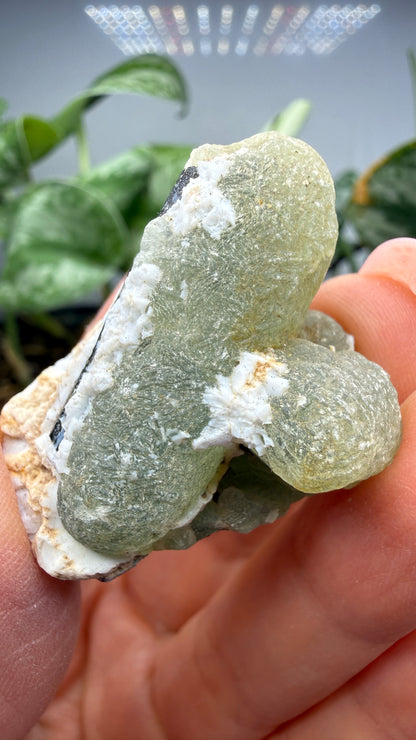Botryoidal Prehnite with Epidote- Bosso Mine, Bendoukou, Kayes Region, Mali