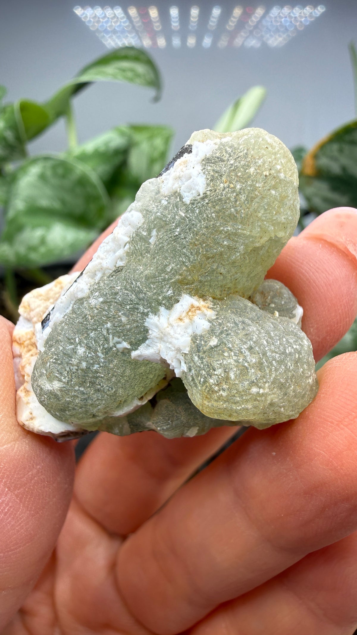 Botryoidal Prehnite with Epidote- Bosso Mine, Bendoukou, Kayes Region, Mali