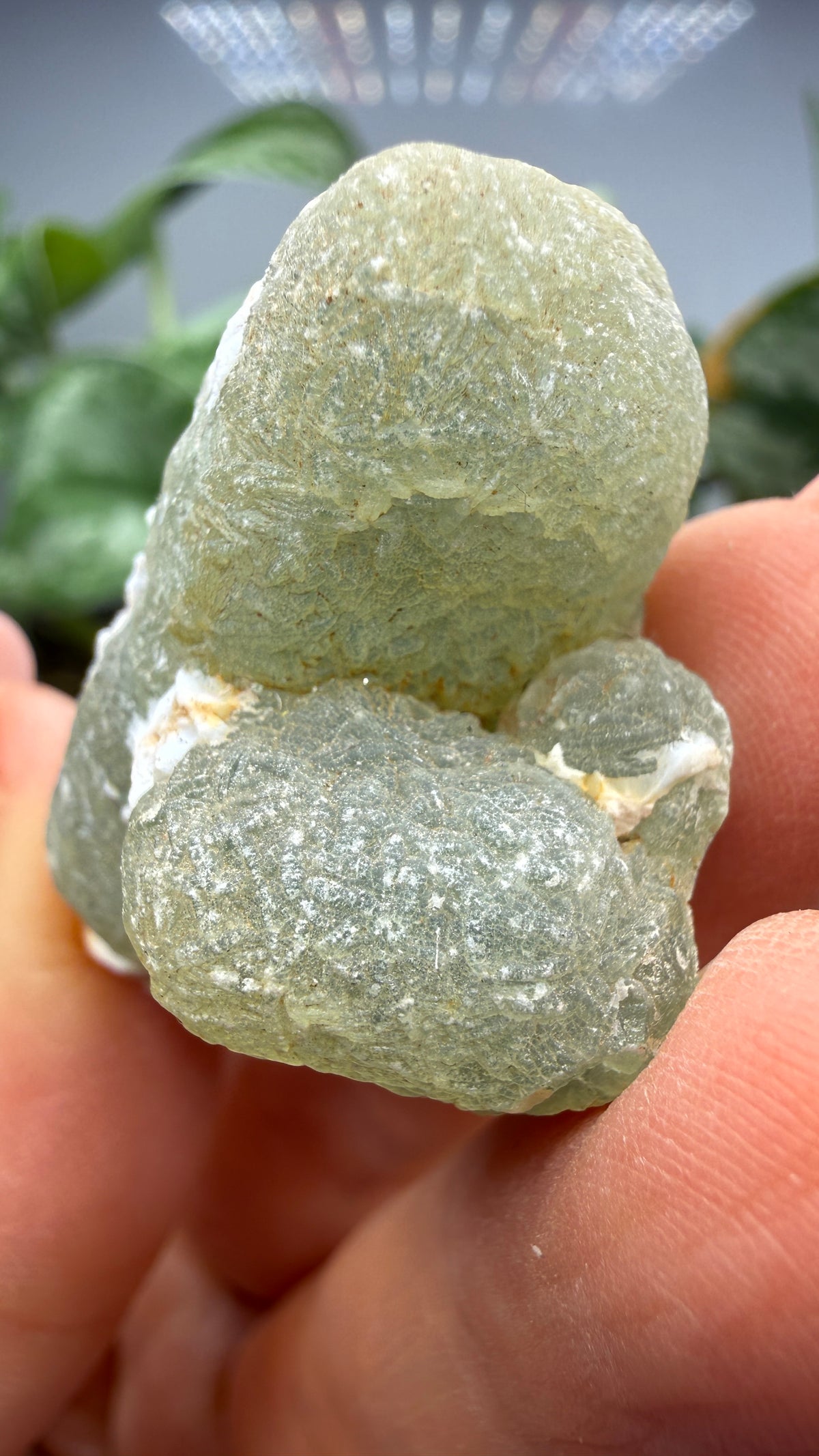 Botryoidal Prehnite with Epidote- Bosso Mine, Bendoukou, Kayes Region, Mali