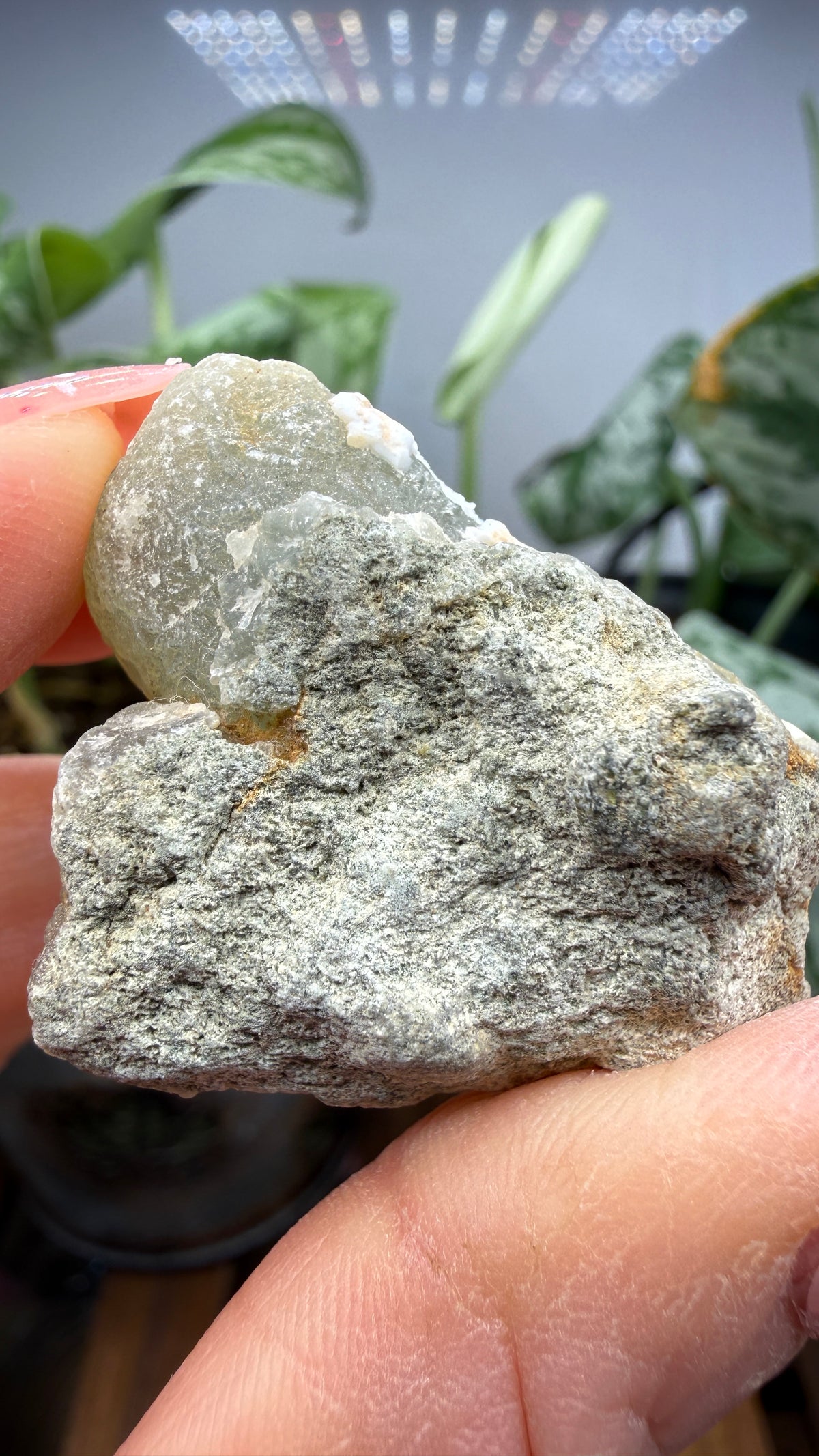 Botryoidal Prehnite with Epidote- Bosso Mine, Bendoukou, Kayes Region, Mali