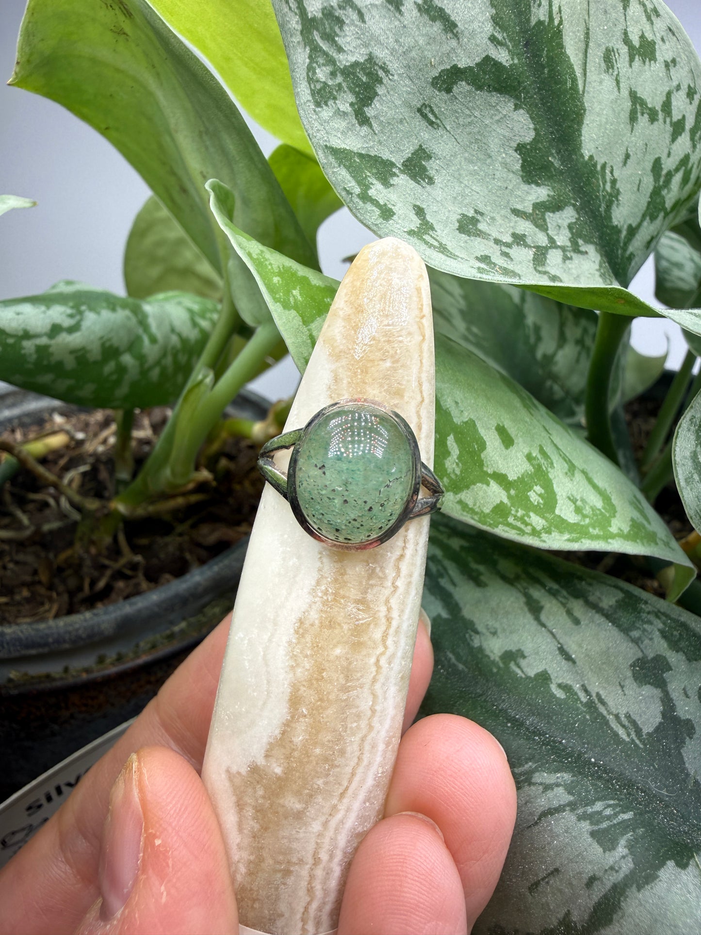 Green Tanzurine® Cabochon Split Shank Ring- Sz. 7 Sterling Silver