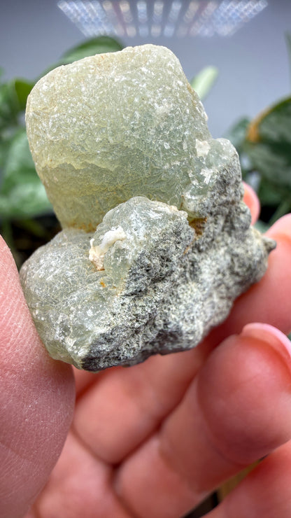 Botryoidal Prehnite with Epidote- Bosso Mine, Bendoukou, Kayes Region, Mali