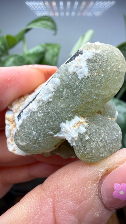 Botryoidal Prehnite with Epidote- Bosso Mine, Bendoukou, Kayes Region, Mali