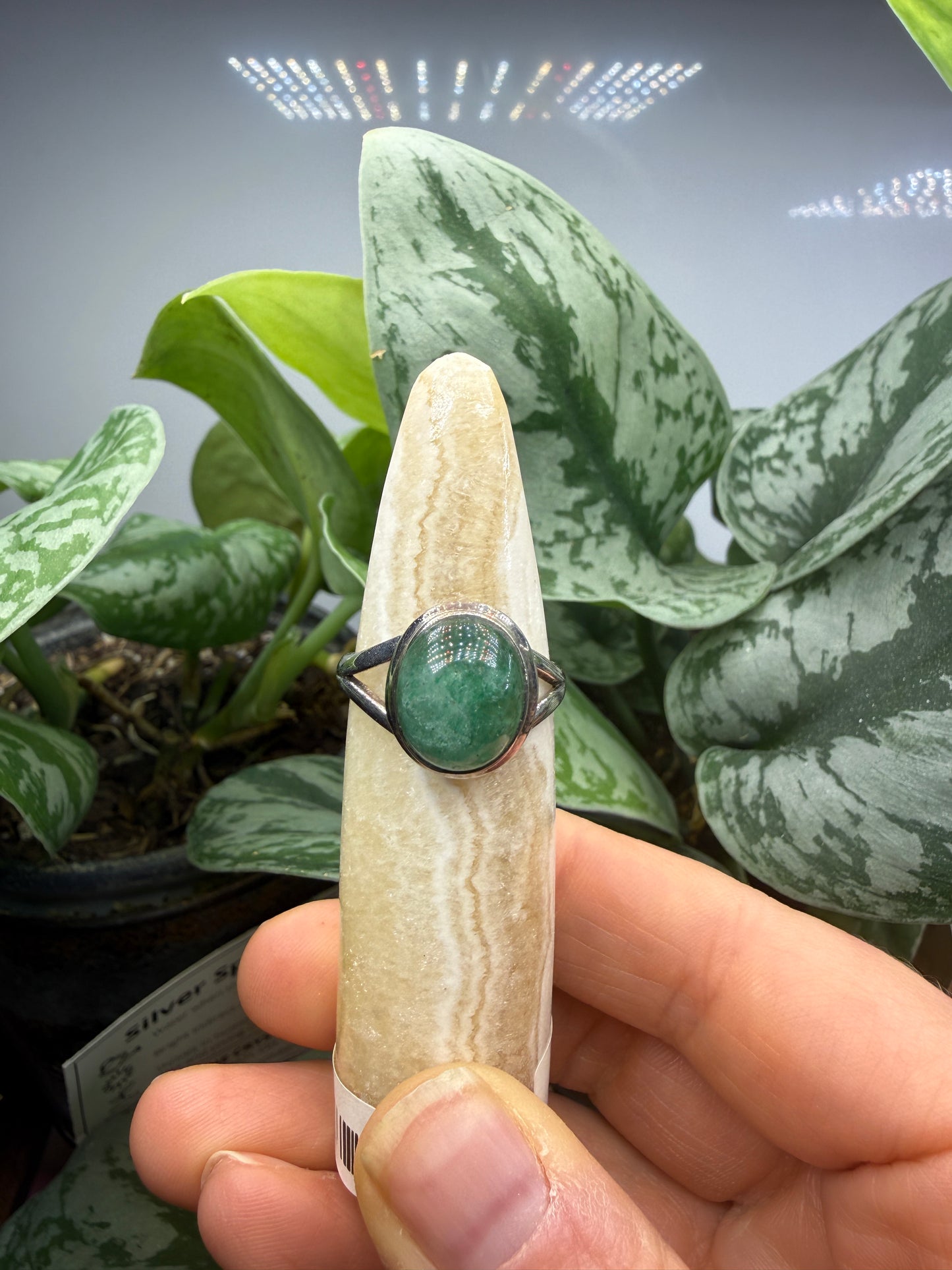 Green Tanzurine® Cabochon Split Shank Ring- Sz. 8 Sterling Silver