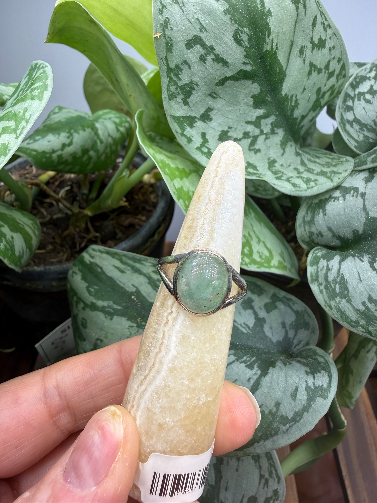 Green Tanzurine® Cabochon Split Shank Ring- Sz. 9 Sterling Silver