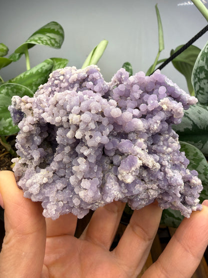 Grape Agate (Quartz var. Amethyst)- Mamuju Regency, West Sulawesi Province, Indonesia