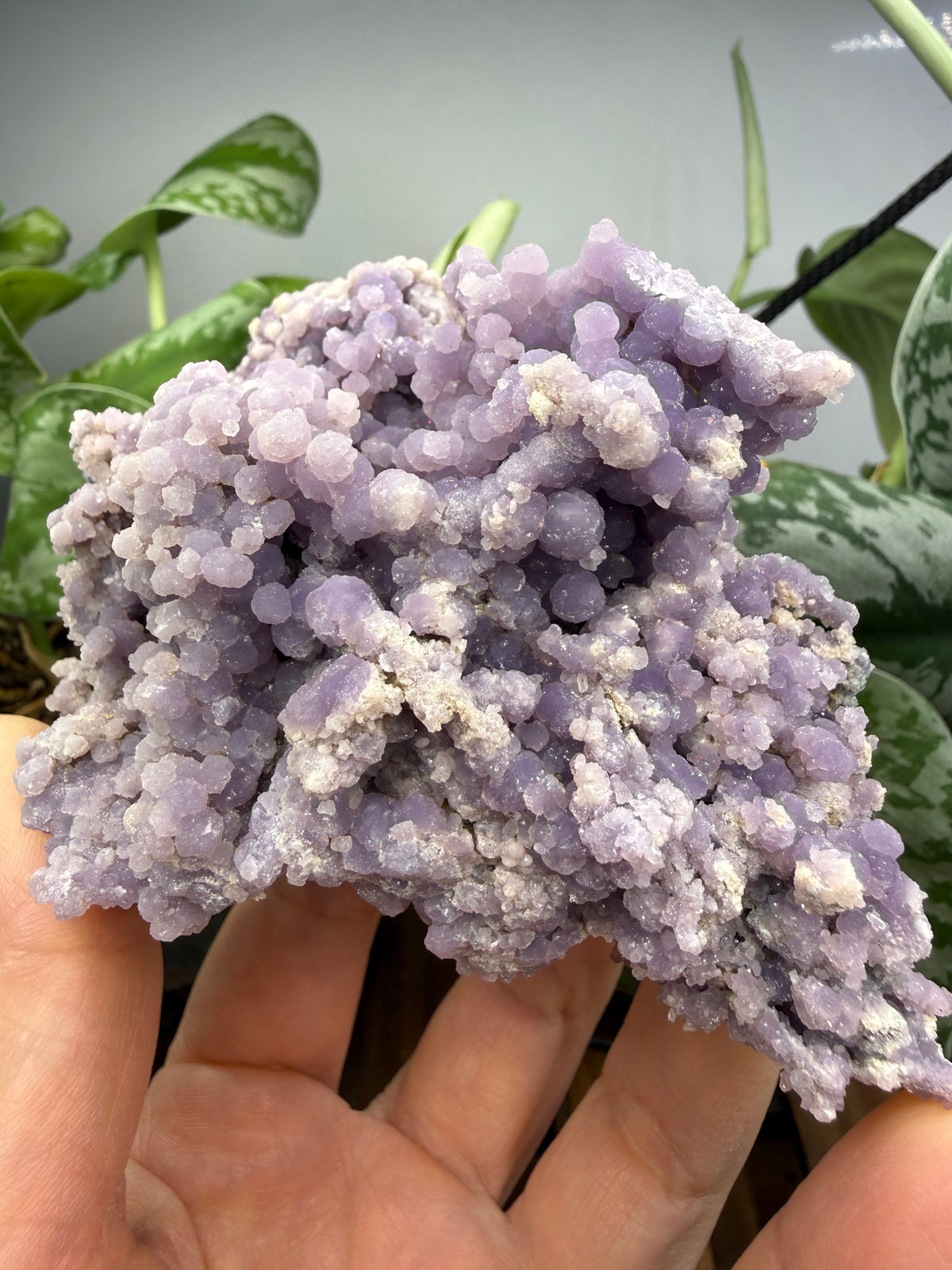 Grape Agate (Quartz var. Amethyst)- Mamuju Regency, West Sulawesi Province, Indonesia
