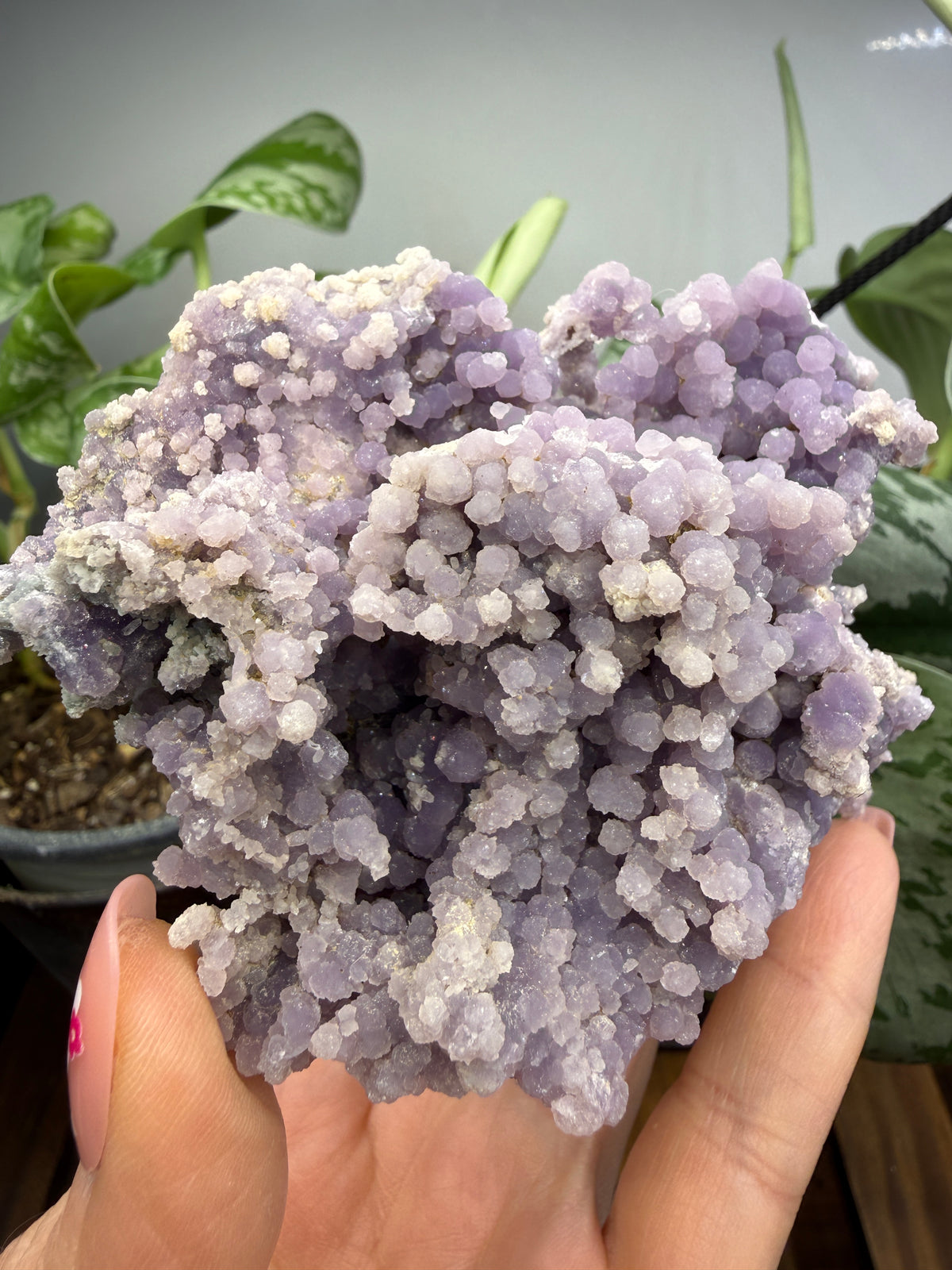 Grape Agate (Quartz var. Amethyst)- Mamuju Regency, West Sulawesi Province, Indonesia