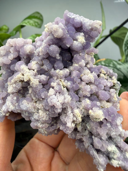 Grape Agate (Quartz var. Amethyst)- Mamuju Regency, West Sulawesi Province, Indonesia