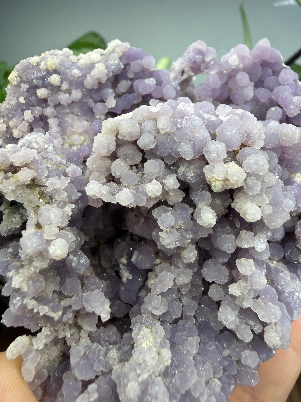 Grape Agate (Quartz var. Amethyst)- Mamuju Regency, West Sulawesi Province, Indonesia