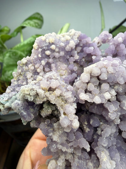 Grape Agate (Quartz var. Amethyst)- Mamuju Regency, West Sulawesi Province, Indonesia