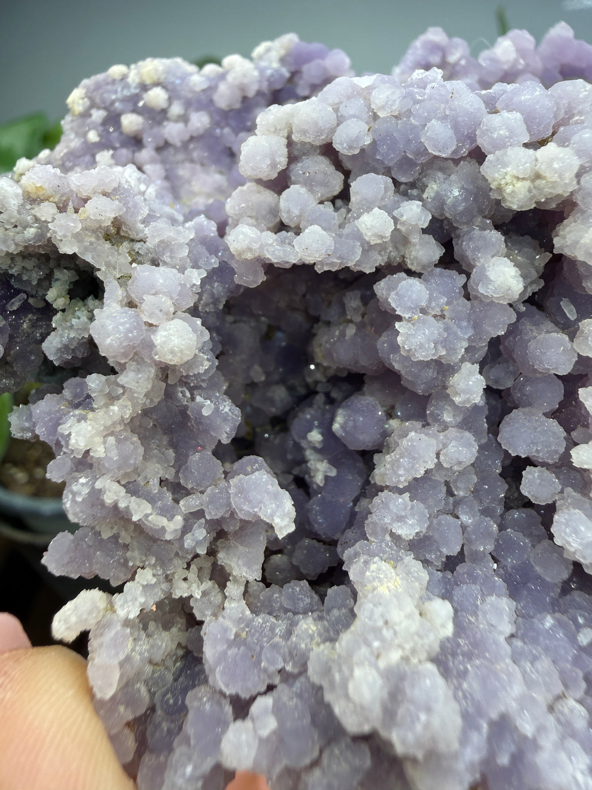 Grape Agate (Quartz var. Amethyst)- Mamuju Regency, West Sulawesi Province, Indonesia
