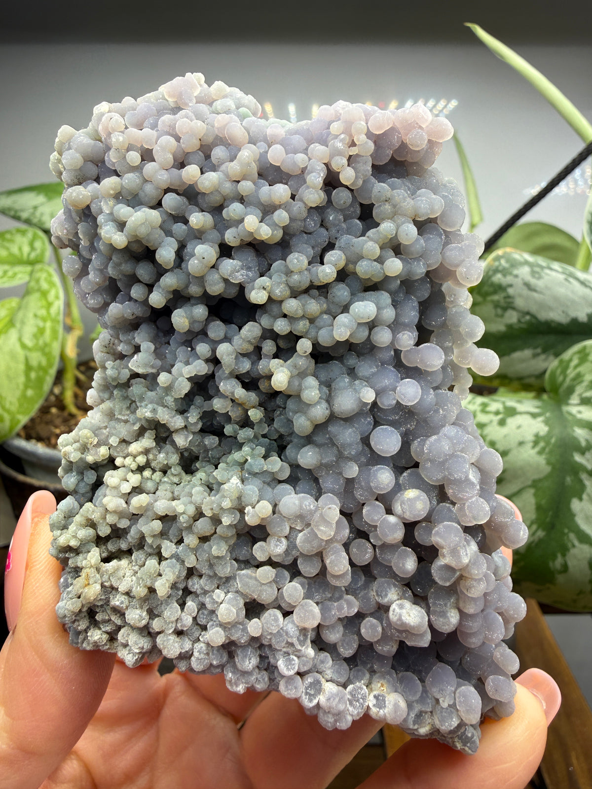 Grape Agate (Quartz var. Amethyst)- Mamuju Regency, West Sulawesi Province, Indonesia