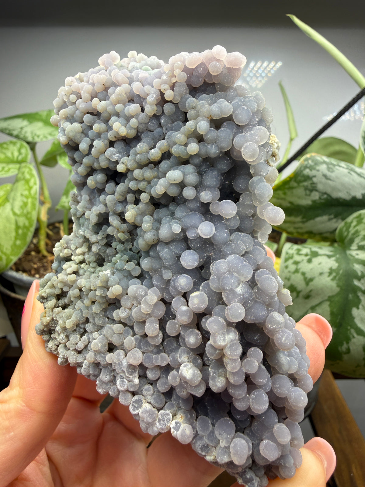 Grape Agate (Quartz var. Amethyst)- Mamuju Regency, West Sulawesi Province, Indonesia