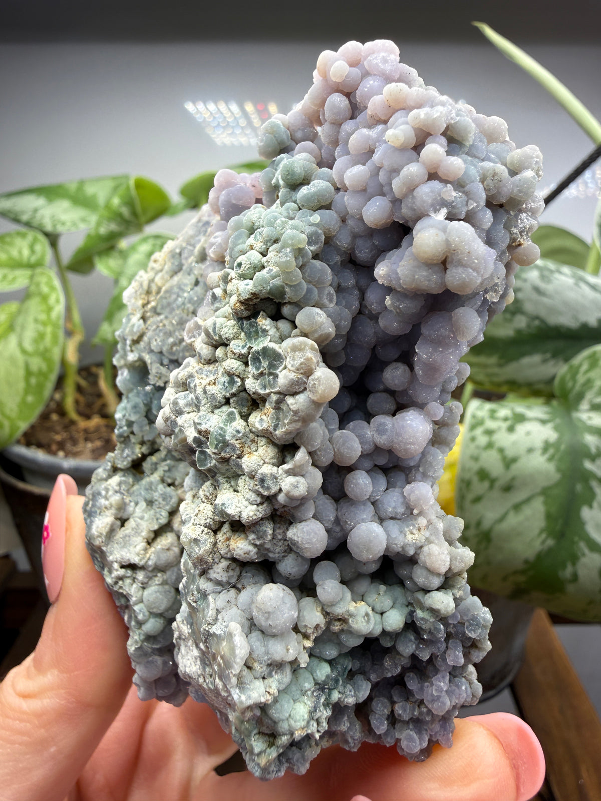 Grape Agate (Quartz var. Amethyst)- Mamuju Regency, West Sulawesi Province, Indonesia