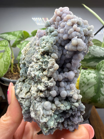 Grape Agate (Quartz var. Amethyst)- Mamuju Regency, West Sulawesi Province, Indonesia