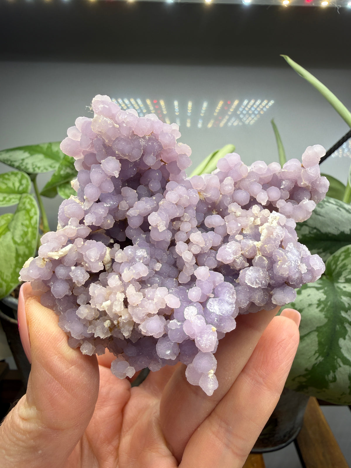 Grape Agate (Quartz var. Amethyst)- Mamuju Regency, West Sulawesi Province, Indonesia