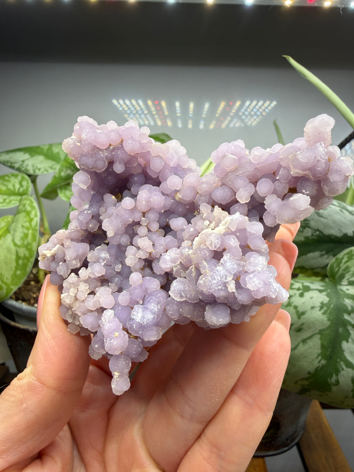 Grape Agate (Quartz var. Amethyst)- Mamuju Regency, West Sulawesi Province, Indonesia