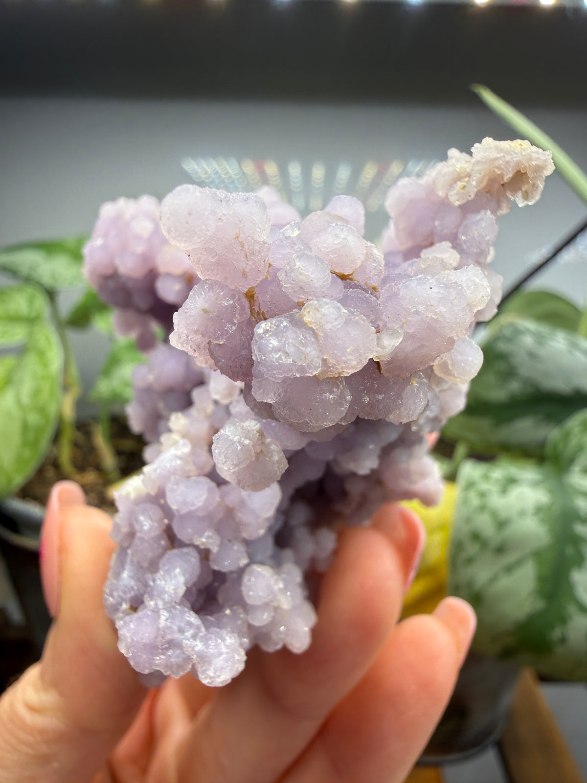 Grape Agate (Quartz var. Amethyst)- Mamuju Regency, West Sulawesi Province, Indonesia
