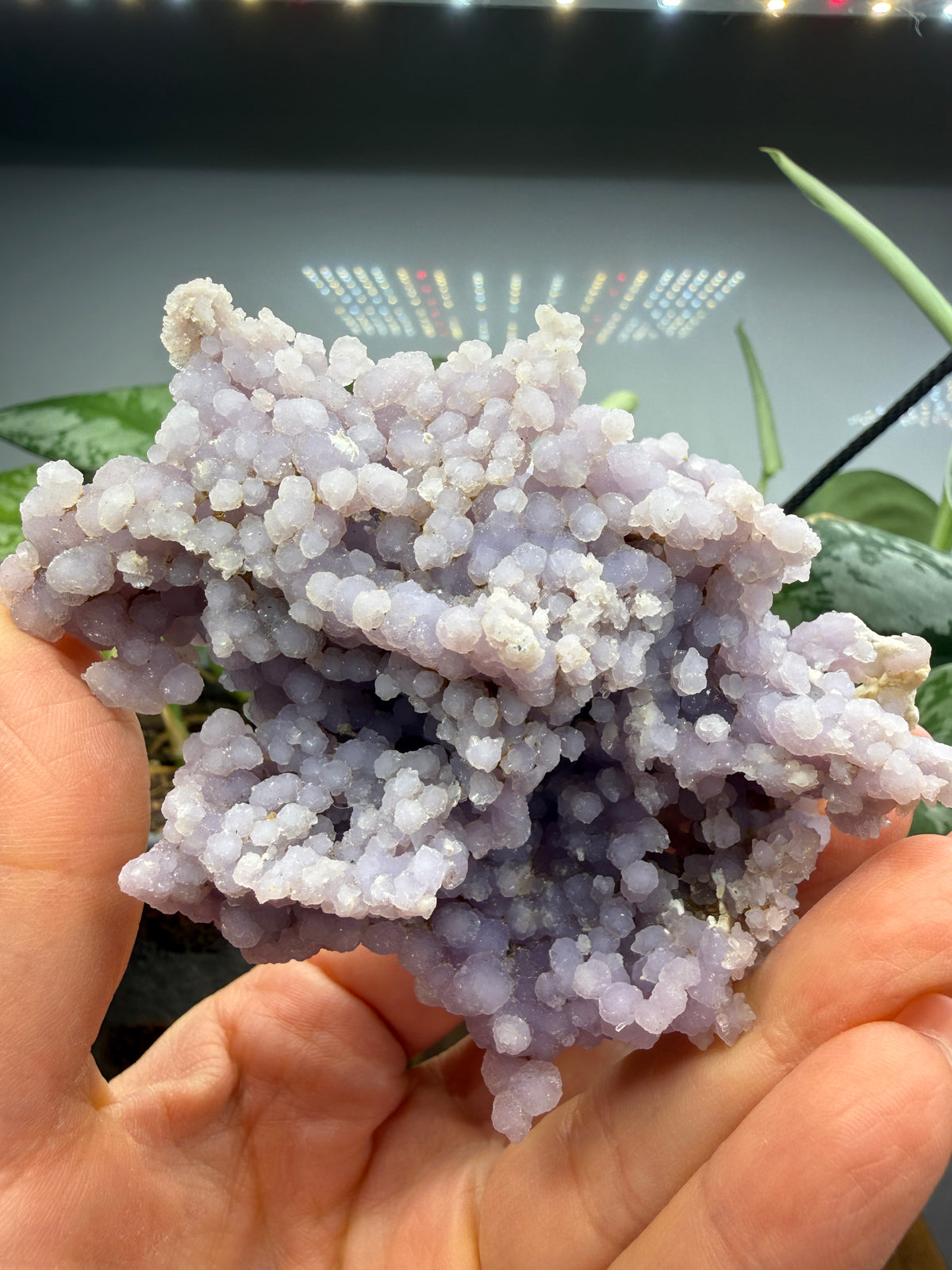 Grape Agate (Quartz var. Amethyst)- Mamuju Regency, West Sulawesi Province, Indonesia