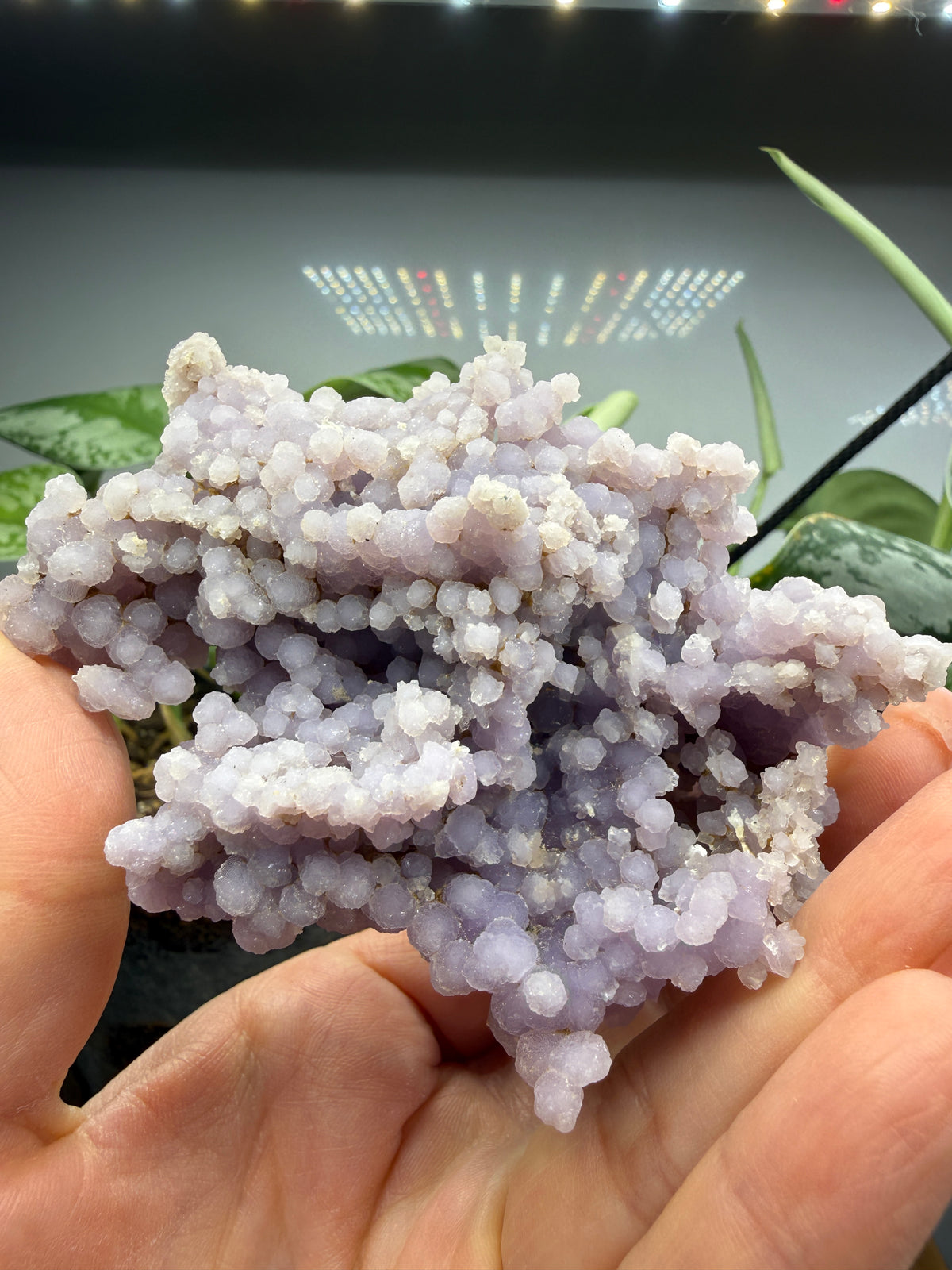 Grape Agate (Quartz var. Amethyst)- Mamuju Regency, West Sulawesi Province, Indonesia