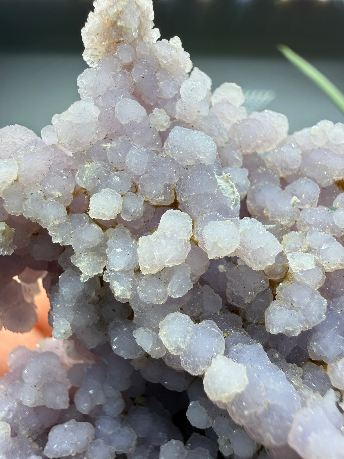 Grape Agate (Quartz var. Amethyst)- Mamuju Regency, West Sulawesi Province, Indonesia