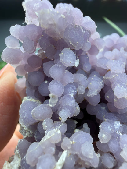 Grape Agate (Quartz var. Amethyst)- Mamuju Regency, West Sulawesi Province, Indonesia