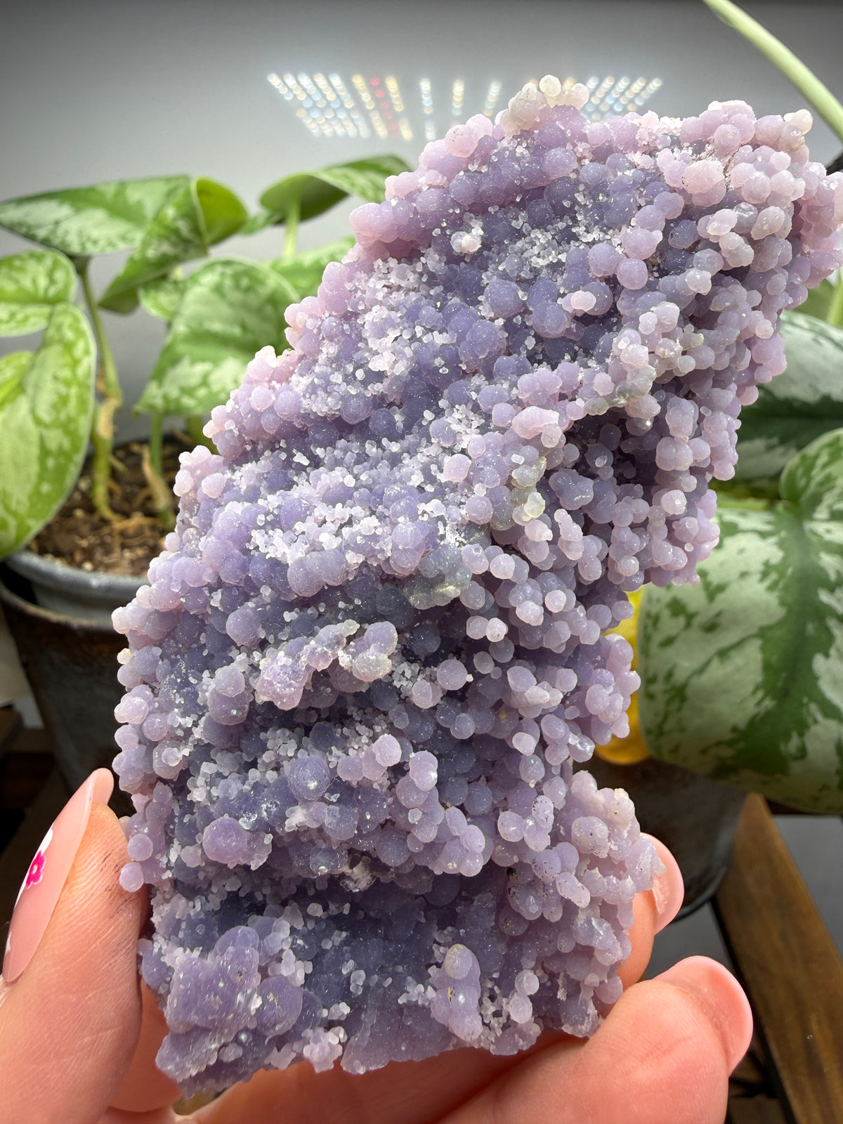 Grape Agate (Quartz var. Amethyst)- Mamuju Regency, West Sulawesi Province, Indonesia