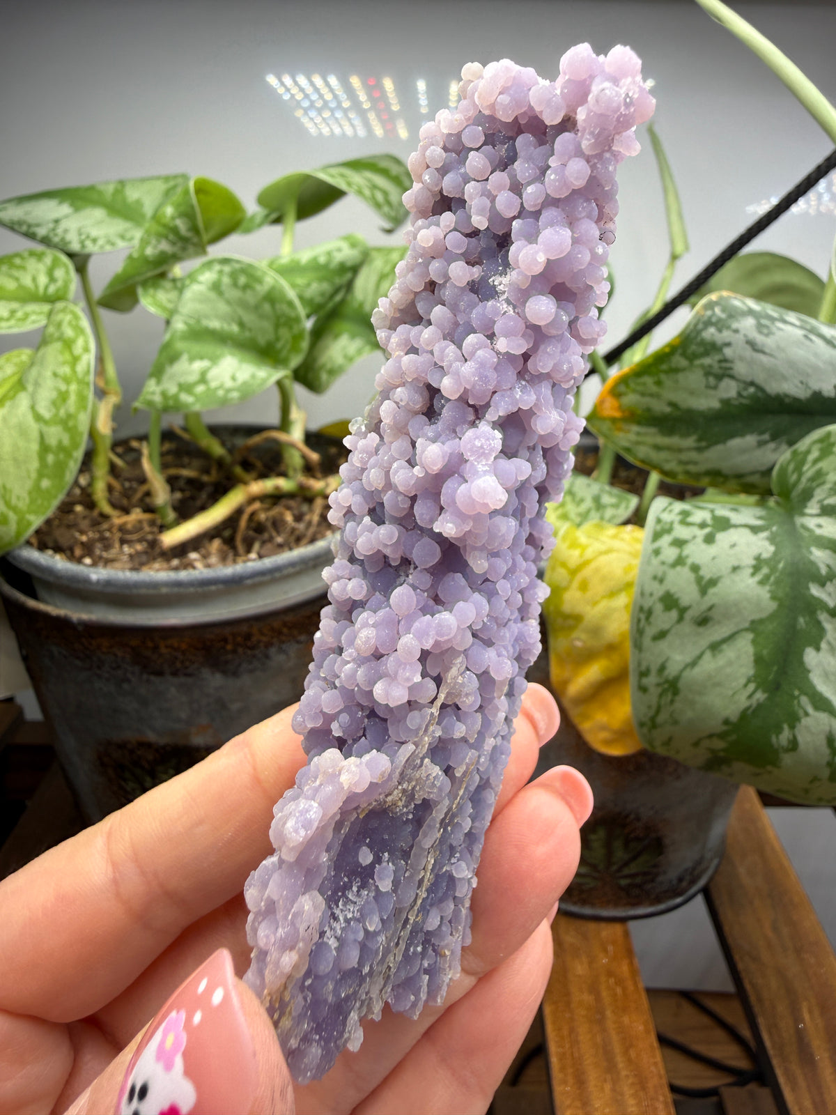 Grape Agate (Quartz var. Amethyst)- Mamuju Regency, West Sulawesi Province, Indonesia