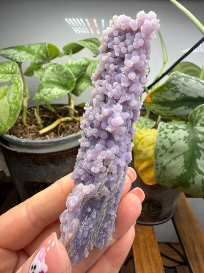 Grape Agate (Quartz var. Amethyst)- Mamuju Regency, West Sulawesi Province, Indonesia