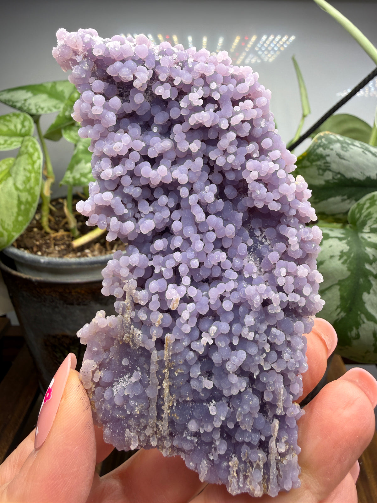 Grape Agate (Quartz var. Amethyst)- Mamuju Regency, West Sulawesi Province, Indonesia