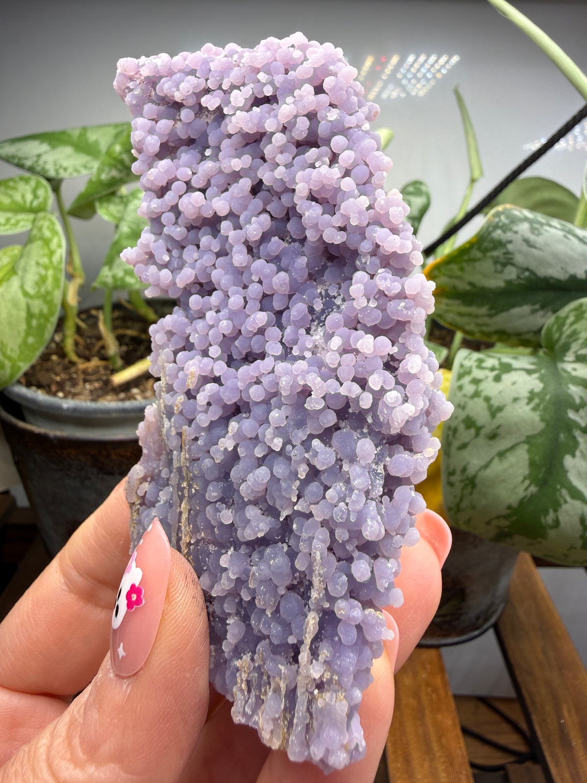 Grape Agate (Quartz var. Amethyst)- Mamuju Regency, West Sulawesi Province, Indonesia