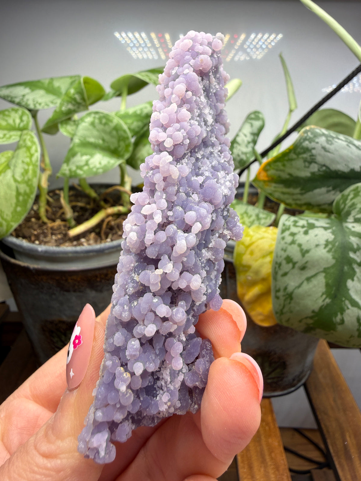 Grape Agate (Quartz var. Amethyst)- Mamuju Regency, West Sulawesi Province, Indonesia