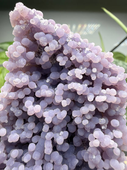 Grape Agate (Quartz var. Amethyst)- Mamuju Regency, West Sulawesi Province, Indonesia