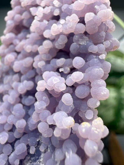 Grape Agate (Quartz var. Amethyst)- Mamuju Regency, West Sulawesi Province, Indonesia