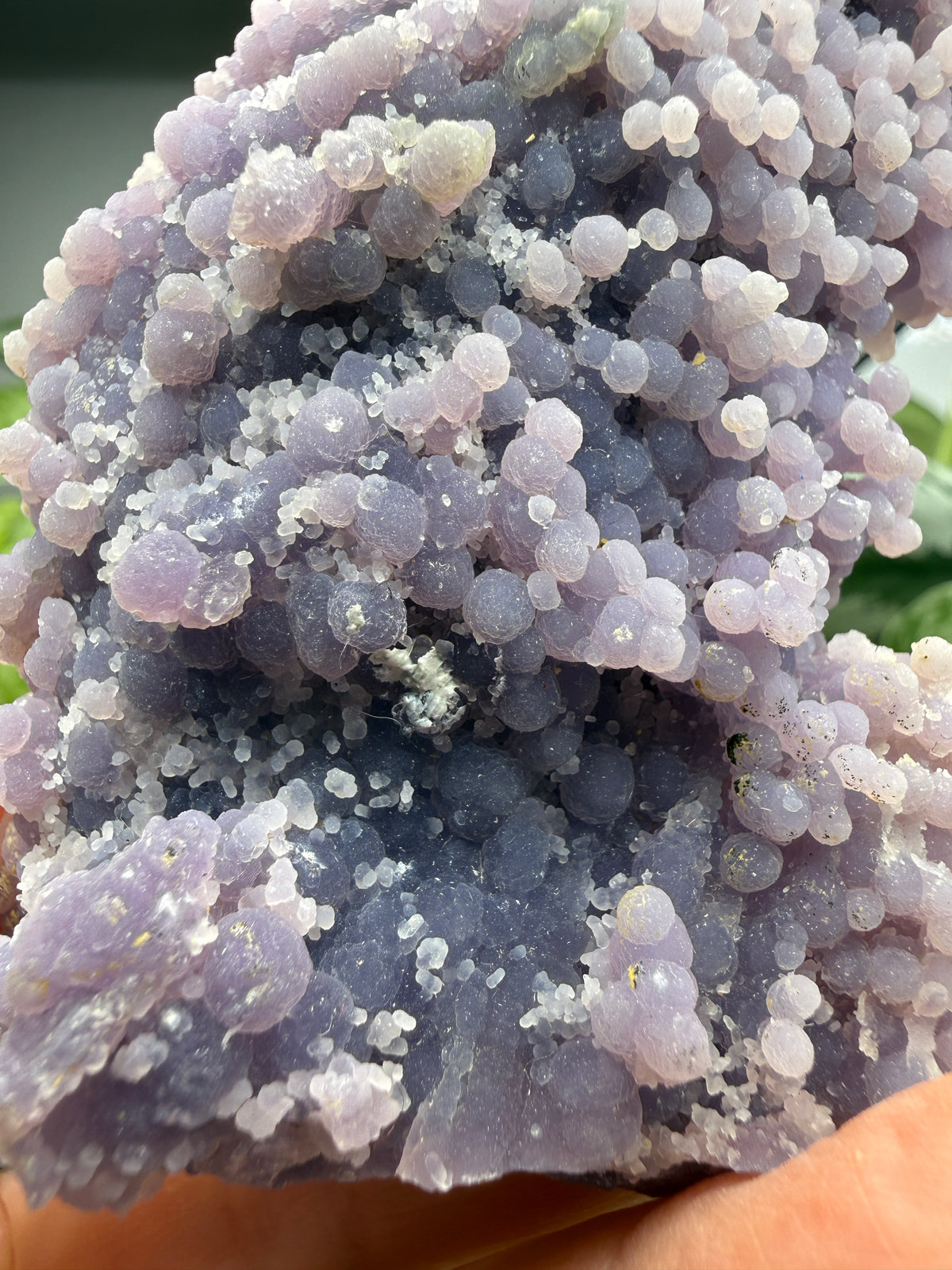 Grape Agate (Quartz var. Amethyst)- Mamuju Regency, West Sulawesi Province, Indonesia