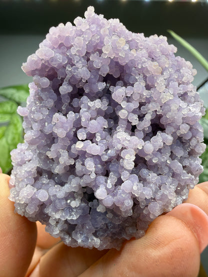 Grape Agate (Quartz var. Amethyst)- Mamuju Regency, West Sulawesi Province, Indonesia