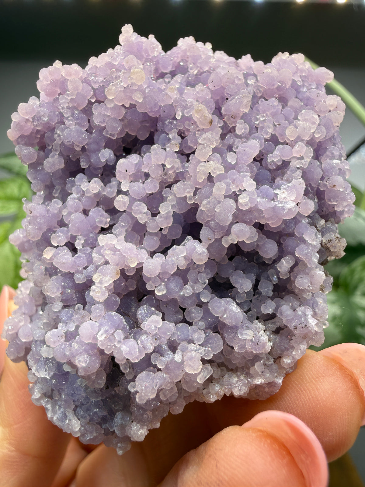 Grape Agate (Quartz var. Amethyst)- Mamuju Regency, West Sulawesi Province, Indonesia