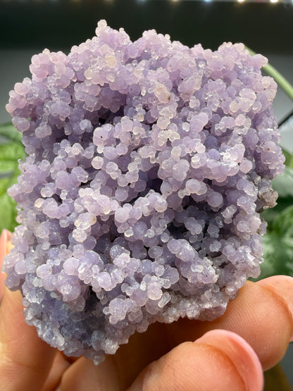 Grape Agate (Quartz var. Amethyst)- Mamuju Regency, West Sulawesi Province, Indonesia
