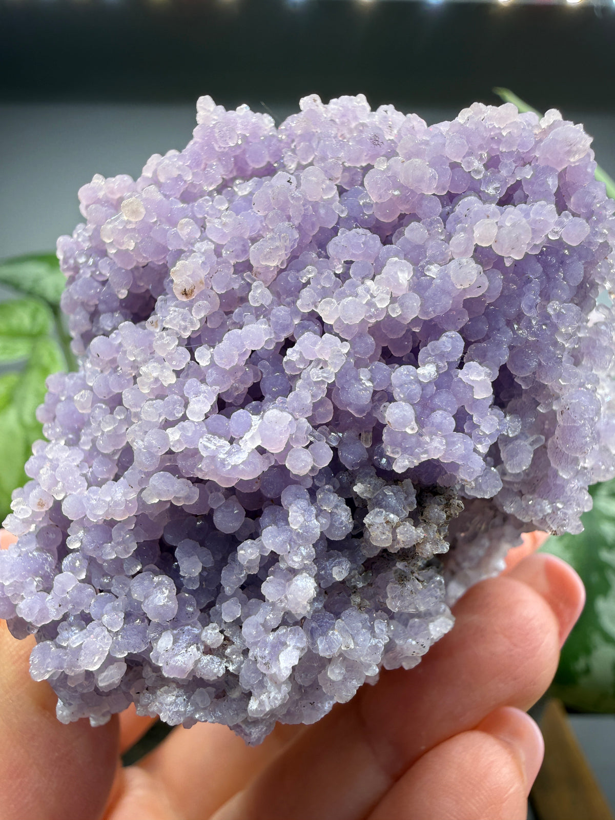 Grape Agate (Quartz var. Amethyst)- Mamuju Regency, West Sulawesi Province, Indonesia