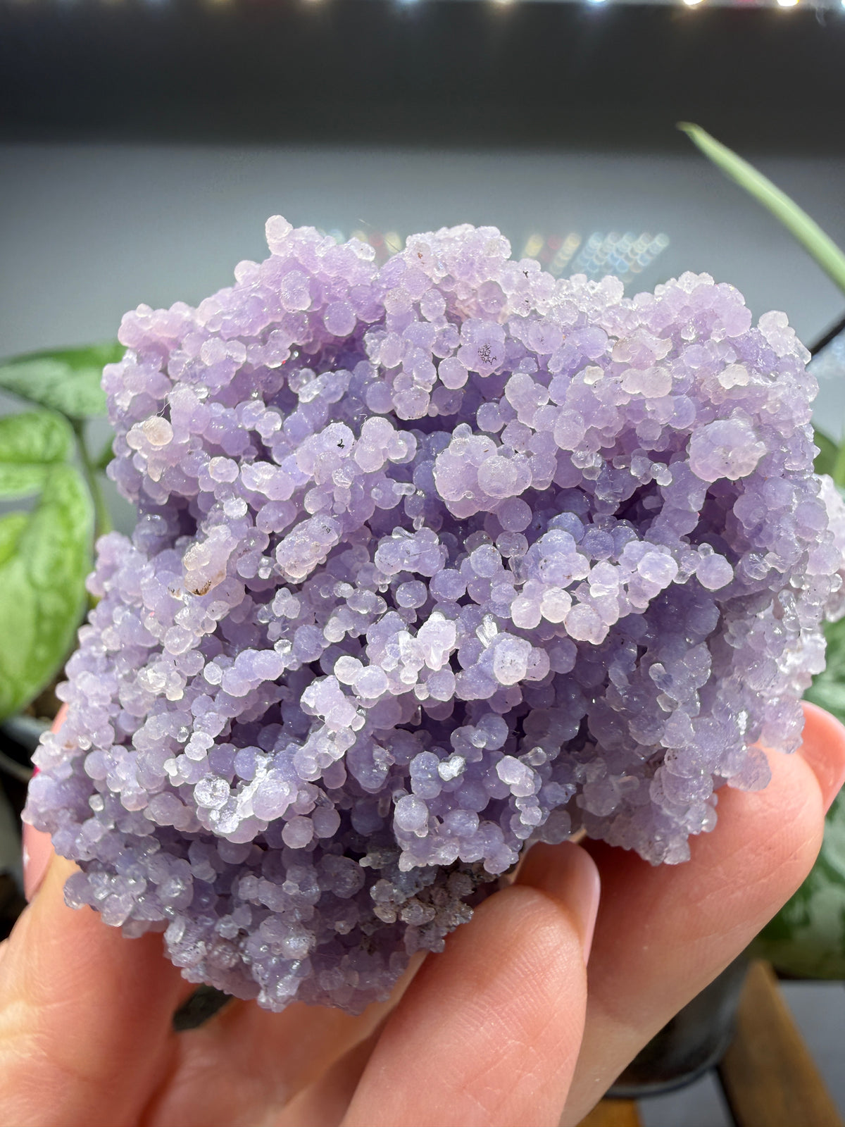 Grape Agate (Quartz var. Amethyst)- Mamuju Regency, West Sulawesi Province, Indonesia