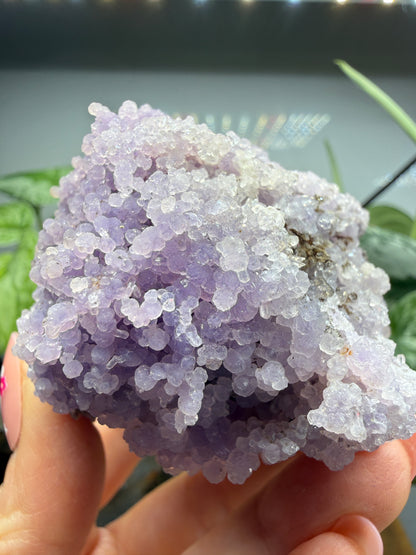 Grape Agate (Quartz var. Amethyst)- Mamuju Regency, West Sulawesi Province, Indonesia