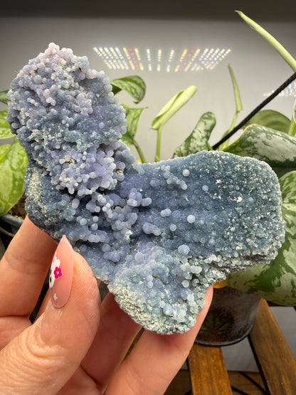 Grape Agate (Quartz var. Amethyst)- Mamuju Regency, West Sulawesi Province, Indonesia