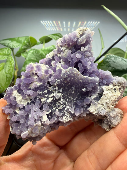 Grape Agate (Quartz var. Amethyst)- Mamuju Regency, West Sulawesi Province, Indonesia
