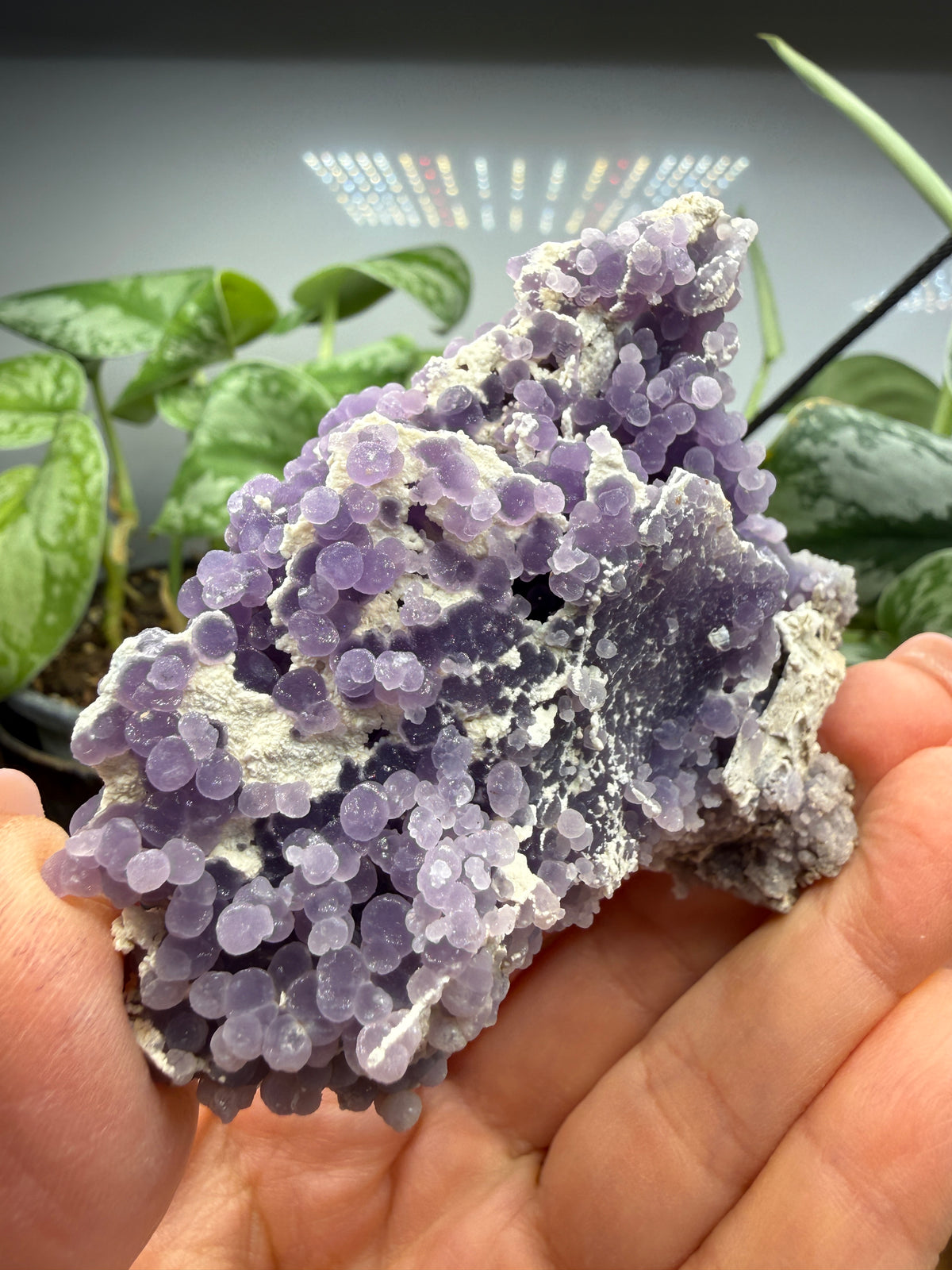 Grape Agate (Quartz var. Amethyst)- Mamuju Regency, West Sulawesi Province, Indonesia