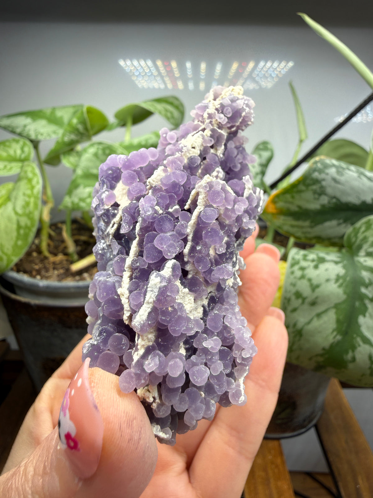 Grape Agate (Quartz var. Amethyst)- Mamuju Regency, West Sulawesi Province, Indonesia