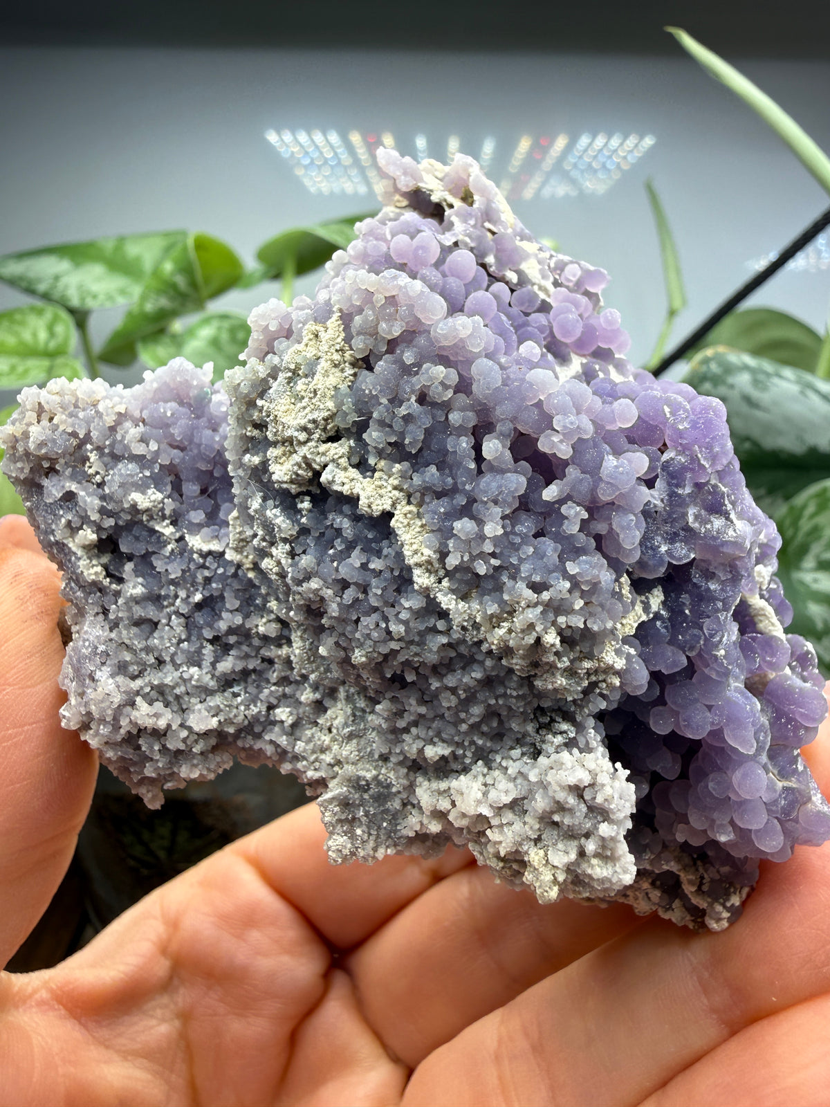 Grape Agate (Quartz var. Amethyst)- Mamuju Regency, West Sulawesi Province, Indonesia